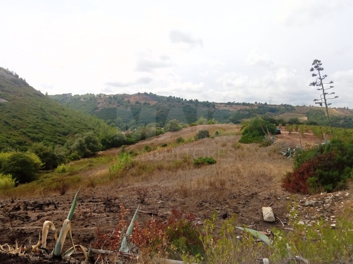 Rustic land in Abrigada